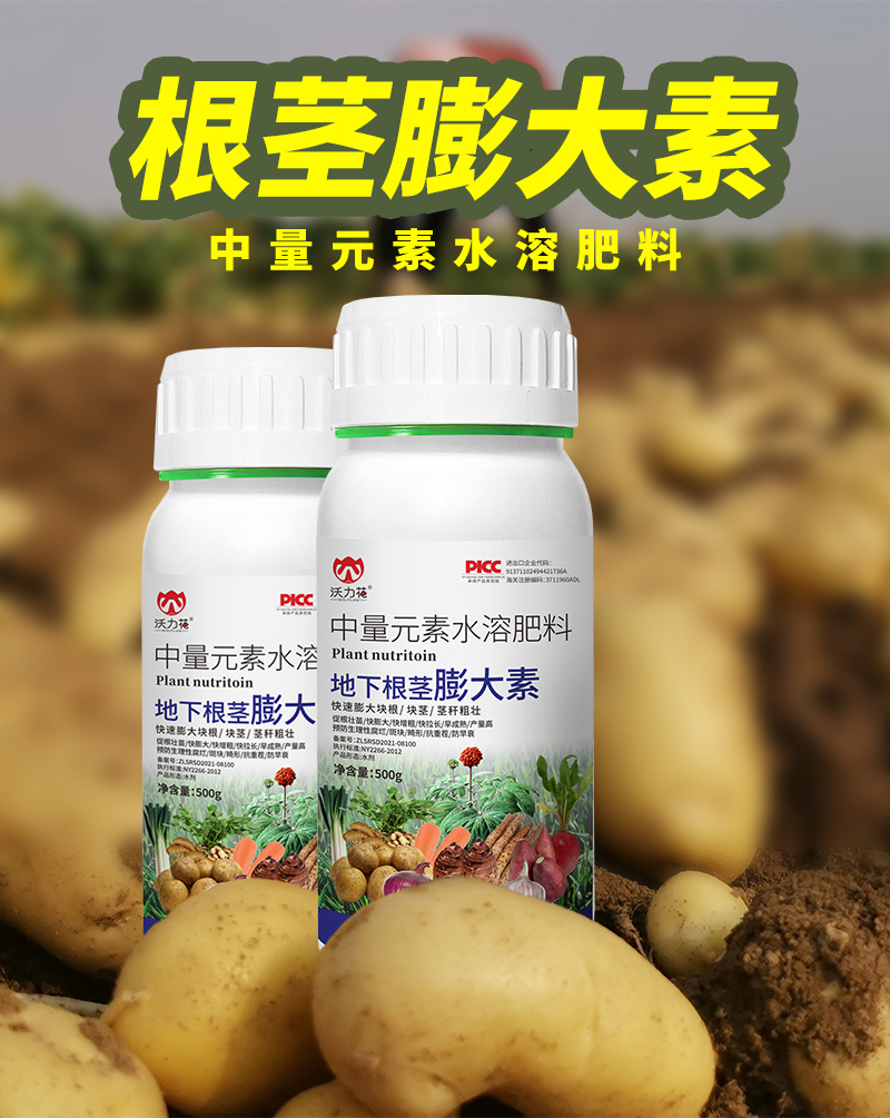 根莖膨大素詳情_02.jpg