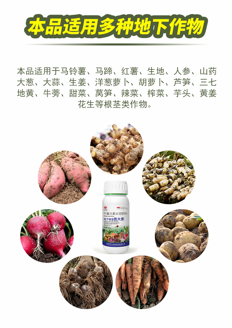 根莖膨大素詳情_08.jpg