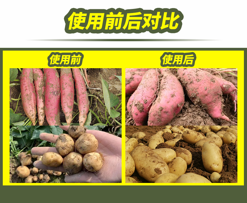 根莖膨大素詳情_09.jpg
