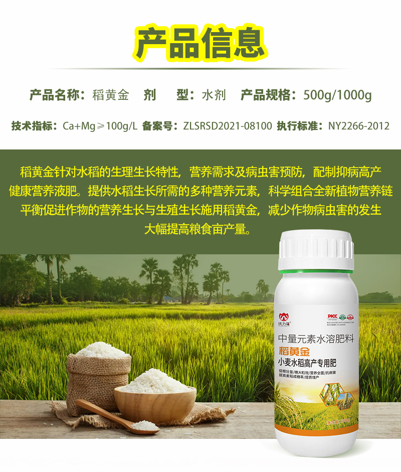 水稻詳情_03.jpg