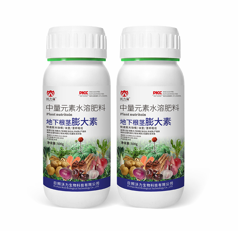 根莖膨大素詳情_12.jpg
