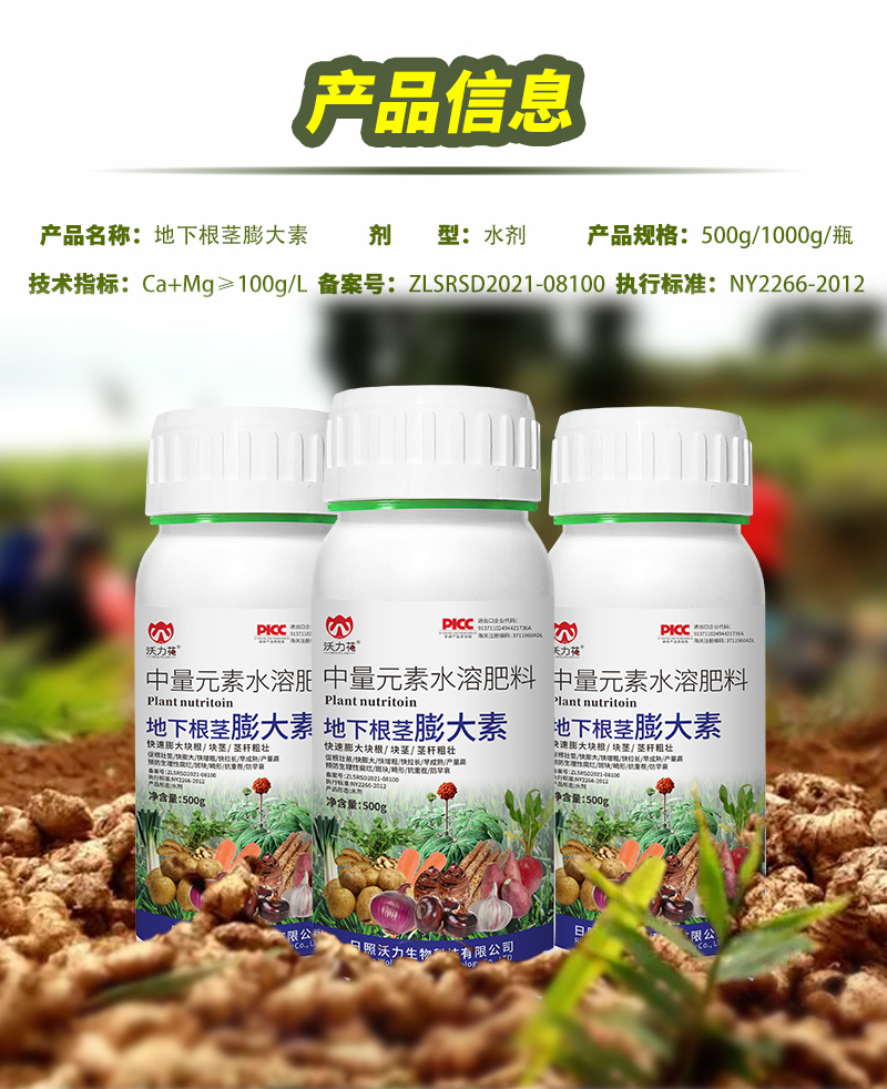 根莖膨大素詳情_11.jpg