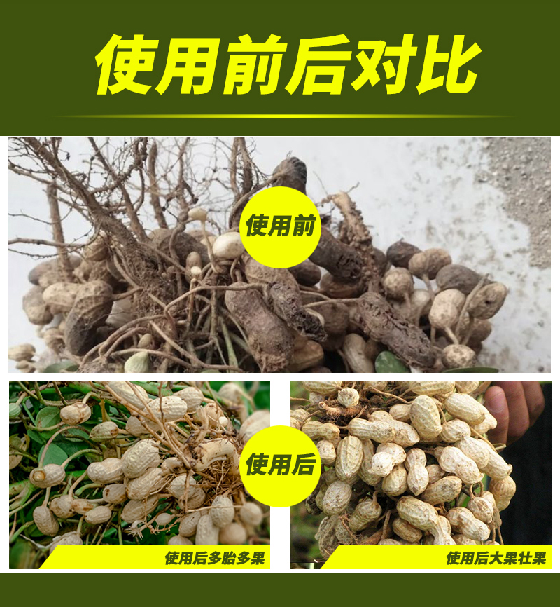 花生詳情_(kāi)07.jpg