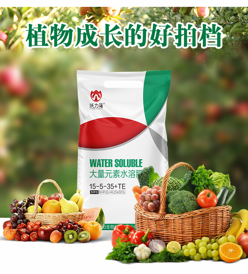 大量元素水溶肥料高鉀型_06.jpg