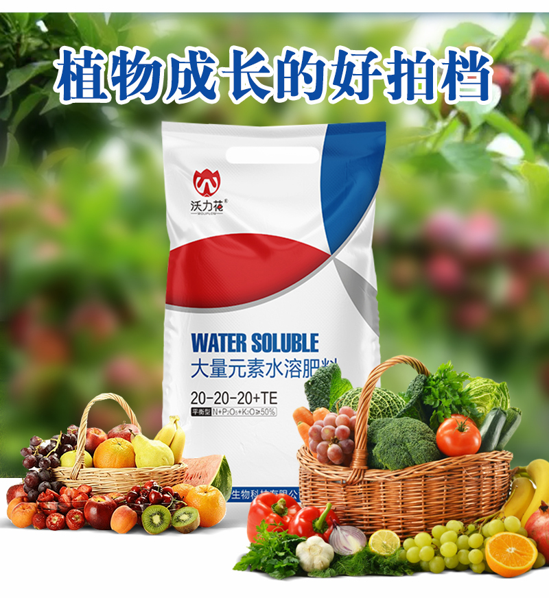 大量元素水溶肥料平衡型_07.jpg
