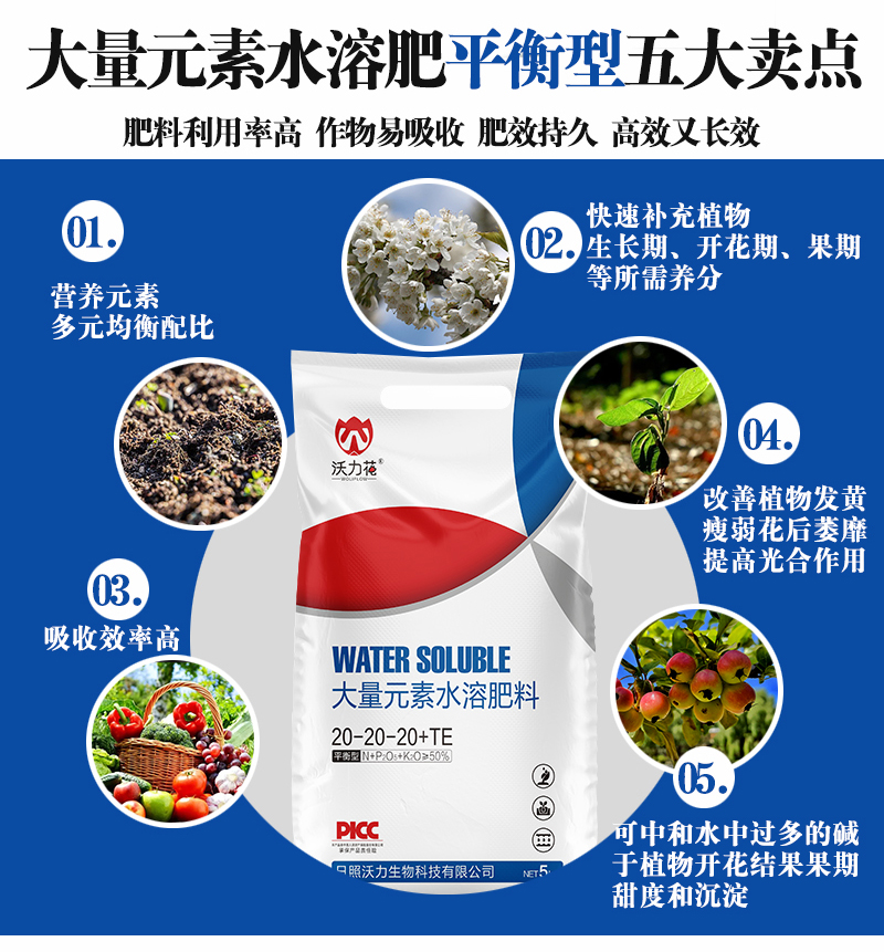 大量元素水溶肥料平衡型_02.jpg