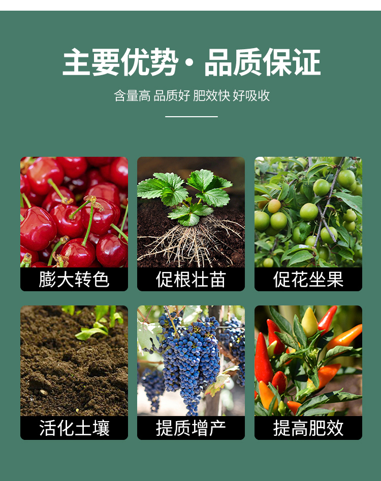 酶解海藻精詳情_(kāi)04.jpg