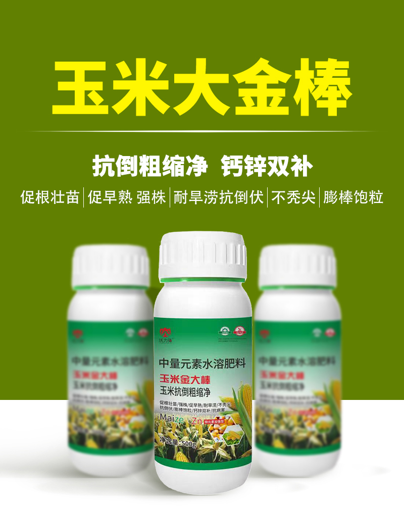 玉米大金棒詳情_01.jpg