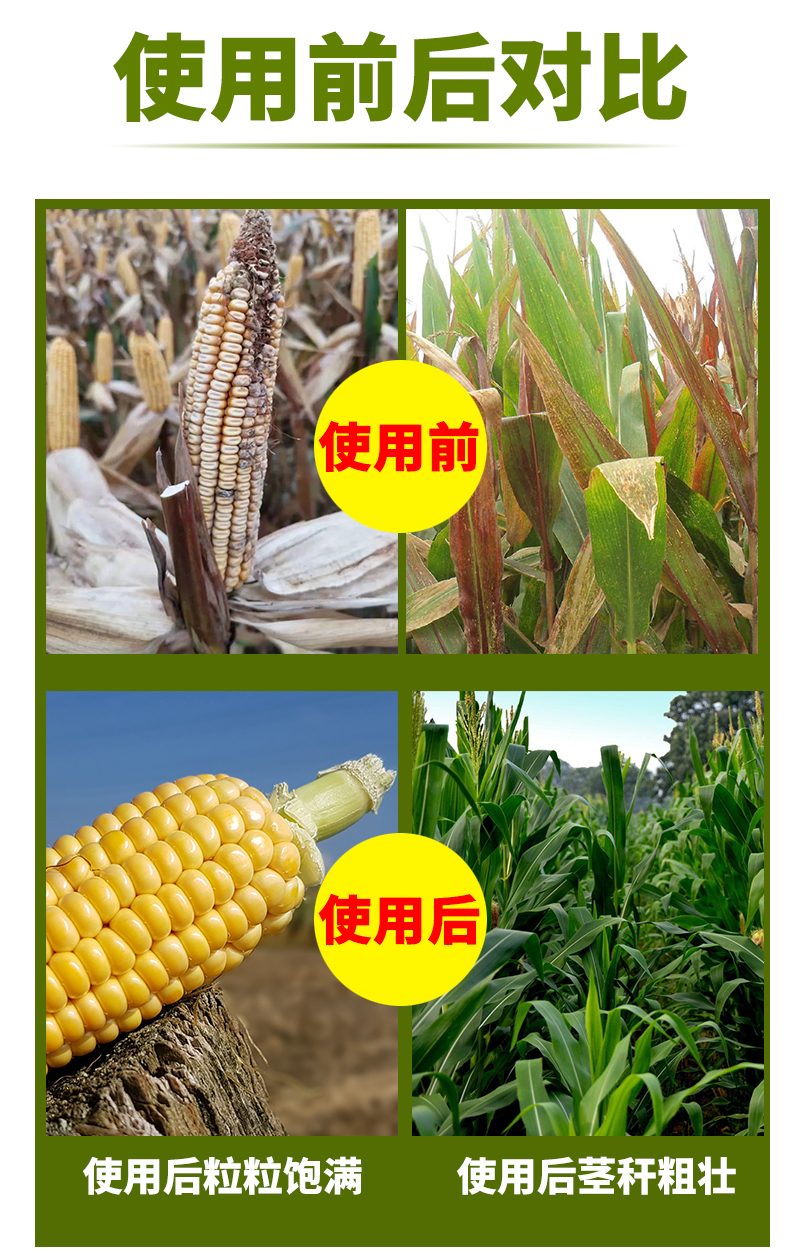 玉米大金棒詳情_05.jpg