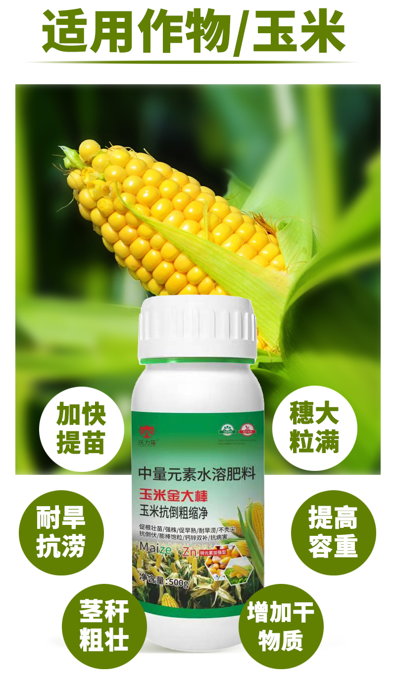 玉米大金棒詳情_02.jpg