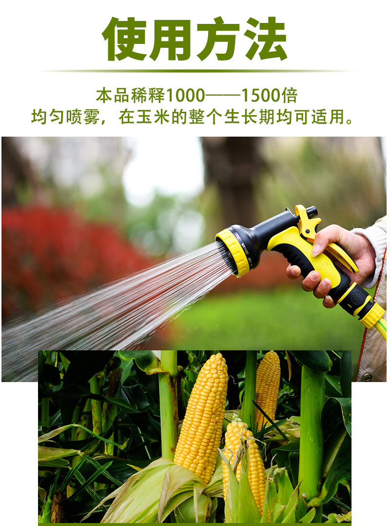 玉米大金棒詳情_03.jpg